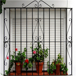 Metal Iron Steel Fixed Window Pri 03