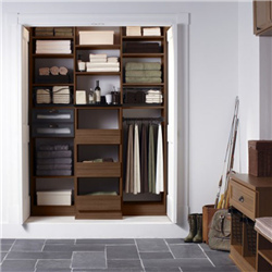 Plywood with MelamineFinish Built-in Closet