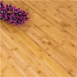 Bamboo Wood Flooring