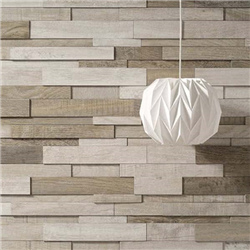 3D Porcelain Wall Tiles