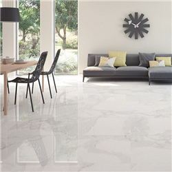 Polished Procelain Floor Tiles