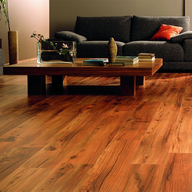Oak Europe Solid Wood flooring indoor